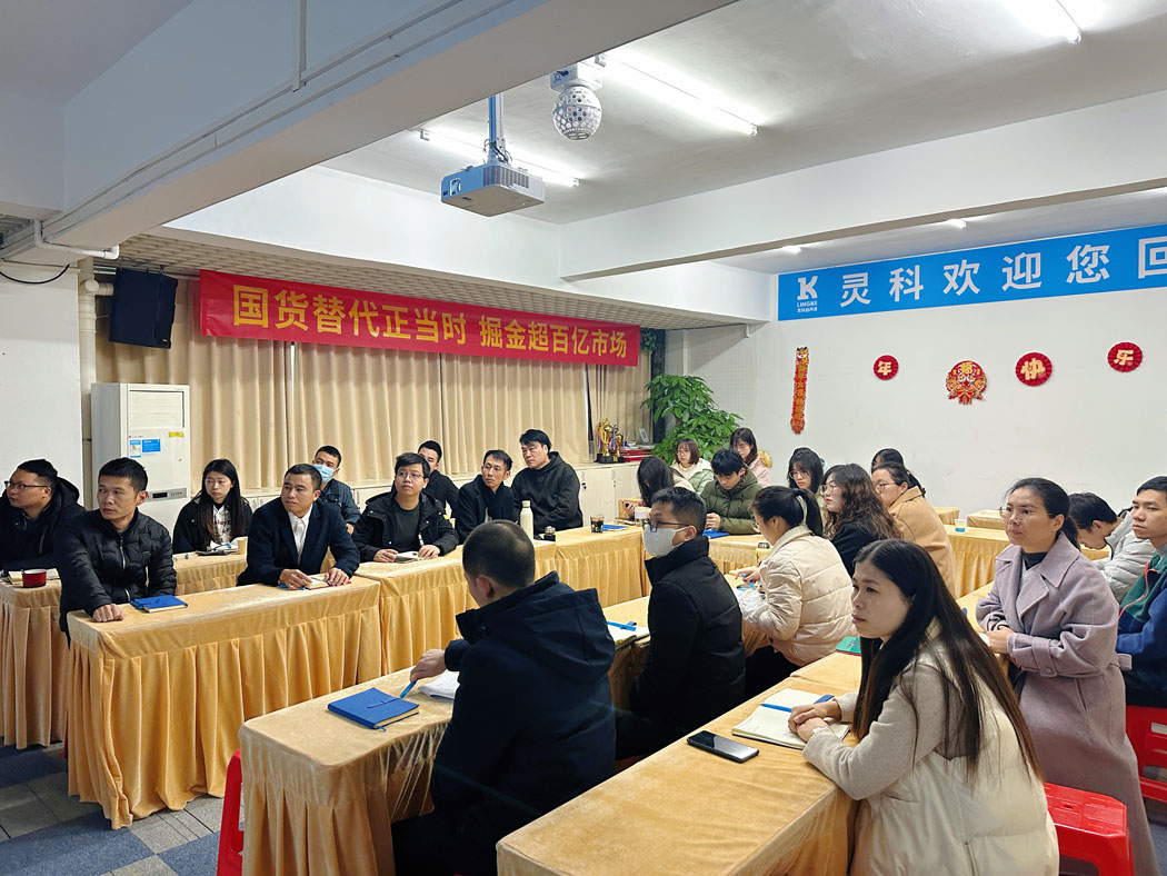 國貨替代，掘金2024丨靈科超聲波營銷總結規(guī)劃會議順利召開